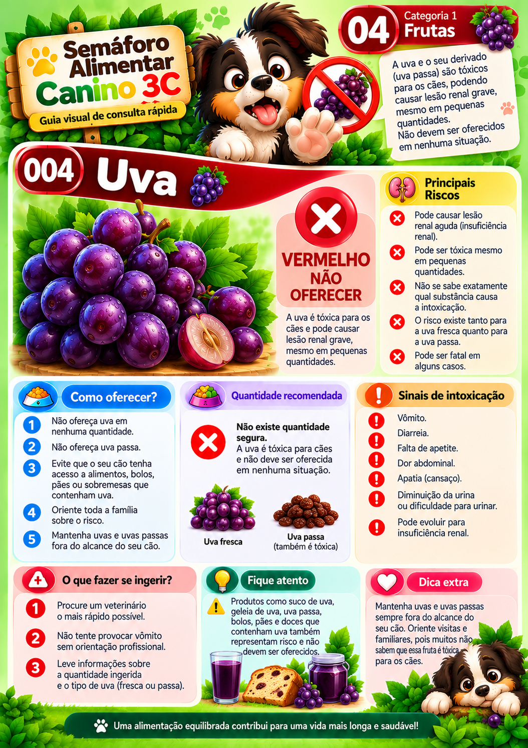 Ficha Semáforo Alimentar Canino 3C: uva, vermelho, não oferecer